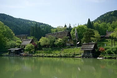 Takayama walking guided tour with optional visit to Hida village